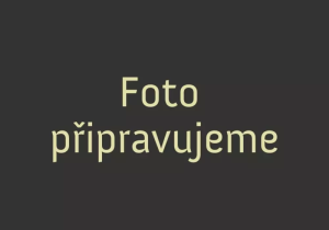 Caprese salát s pestem